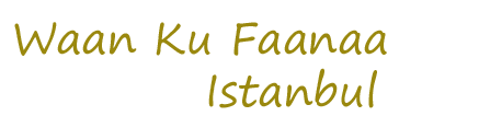 Waan Ku Faanaa Istanbul
